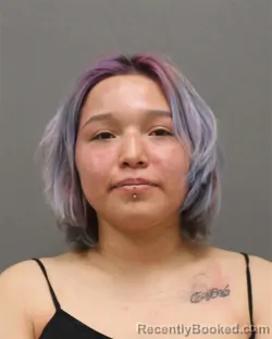 Mugshot of KALLIE KRISTIN KING booked in Brown County, Wisconsin on April 4, 2026