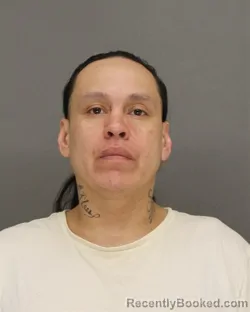 Booking photo from Brown County, Wisconsin