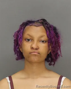 Mugshot of KARMYA JAMIA WELLS booked in Brown County, Wisconsin on April 16, 2026