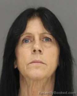 Mugshot of LISA ANN PETERSON booked in Brown County, Wisconsin on April 17, 2026