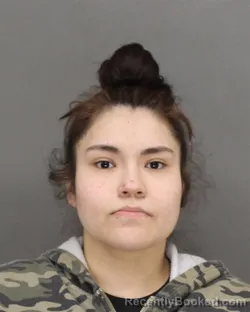 Mugshot of NANCY NMI GALLEGOS-CARDENAS booked in Brown County, Wisconsin on April 18, 2026
