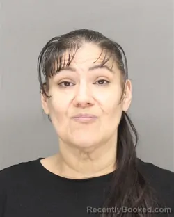Mugshot of ARLEEN LYNN WAYKA booked in Brown County, Wisconsin on April 23, 2026