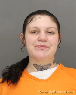 Mugshot of ANYSSA COLLEENMICHE ELLWART booked in Brown County, Wisconsin on April 24, 2026