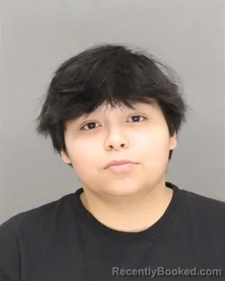 Mugshot of ALEXIS RAQUEL BAHENA booked in Brown County, Wisconsin on April 25, 2026