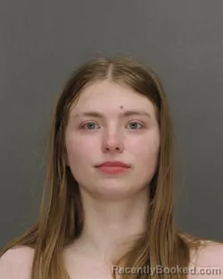 Mugshot of LAUREN MAE MANN booked in Brown County, Wisconsin on April 26, 2026