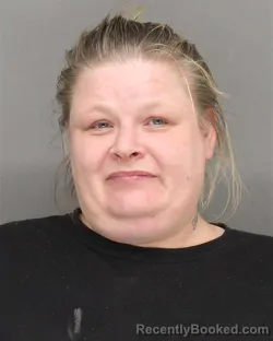 Mugshot of JOLEEN AMBER JOHNSON booked in Brown County, Wisconsin on April 27, 2026