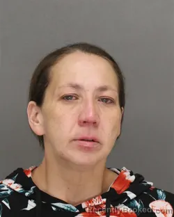 Mugshot of THERESA ALMA RODRIGUEZ booked in Brown County, Wisconsin on April 28, 2026
