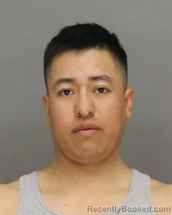 Mugshot of FERNANDO NMI FELICIANO CARREON booked in Brown County, Wisconsin on April 29, 2026