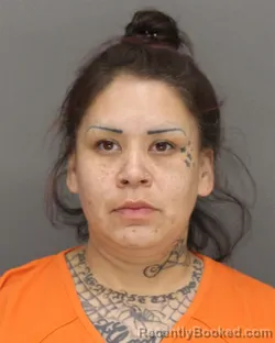 Mugshot of NAOMI RENEE SKENANDORE booked in Brown County, Wisconsin on April 29, 2026