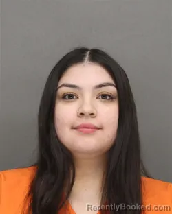 Mugshot of ALEXIS LYNN BETTERS booked in Brown County, Wisconsin on May 2, 2026