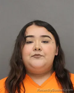 Mugshot of TAYLOR ANN TOURTILLOTT booked in Brown County, Wisconsin on May 6, 2026