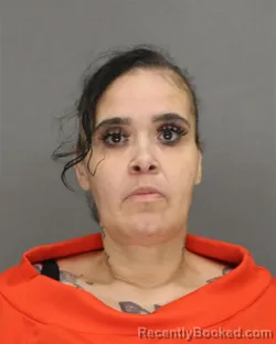 Mugshot of LESLIE ANA PEREZ-MEJIA booked in Brown County, Wisconsin on May 10, 2026