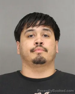 Booking photo from Brown County, Wisconsin
