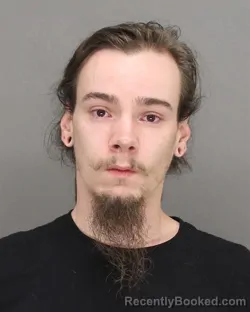 Riley Willard Swille Mugshot & Arrest Info | Brown County, WI