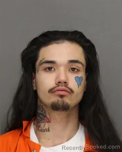 Mugshot of JACOB ALLEN FONG LO booked in Brown County, Wisconsin on June 16, 2026