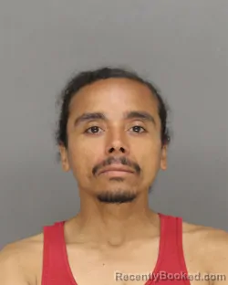 Mugshot of MILES LEE LEVI booked in Brown County, Wisconsin on June 21, 2026
