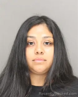 Mugshot of CHRISTINA SOLEDAD SOLER booked in Brown County, Wisconsin on June 23, 2026