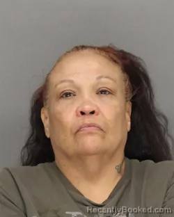 Mugshot of DESTINEE MICHELLE LYONS booked in Brown County, Wisconsin on June 23, 2026