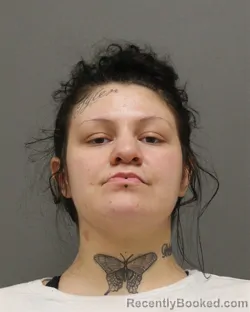 Booking photo from Brown County, Wisconsin