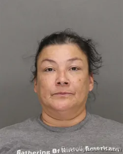 Mugshot of ALICE ROBIN PETERS booked in Brown County, Wisconsin on June 29, 2026