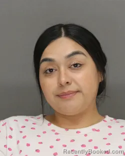 Mugshot of ANGIE NMI AYALA booked in Brown County, Wisconsin on June 29, 2026