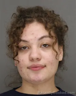 Mugshot of EVELYN MARIE HERNANDEZ booked in Brown County, Wisconsin on July 1, 2026