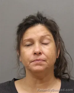 Mugshot of TANYA ANN POLZIN booked in Brown County, Wisconsin on July 2, 2026