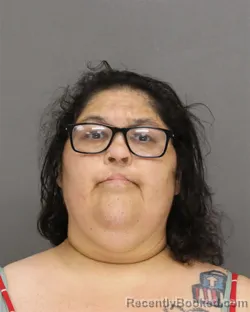 Mugshot of CAROL ANN SANAPAW booked in Brown County, Wisconsin on July 2, 2026