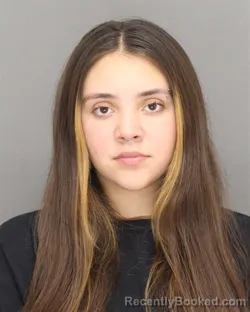 Booking photo from Brown County, Wisconsin