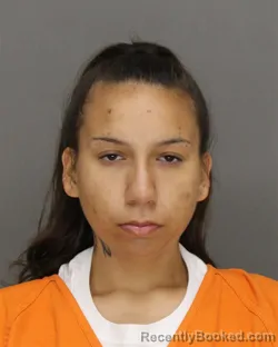 Mugshot of STEPHANI LYNN SCHABOW booked in Brown County, Wisconsin on July 9, 2026