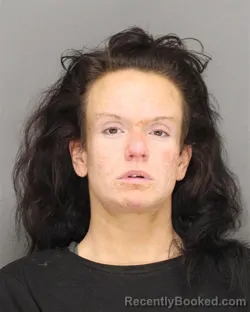 Mugshot of SARA CHRISTINE LEITERMAN booked in Brown County, Wisconsin on July 10, 2026