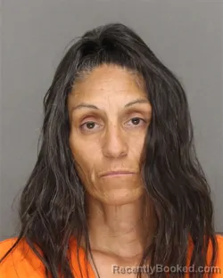 Mugshot of VIOLA SUE SKENANDORE booked in Brown County, Wisconsin on July 10, 2026