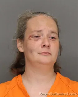 Mugshot of AMANDA MARIE LEE booked in Brown County, Wisconsin on July 10, 2026