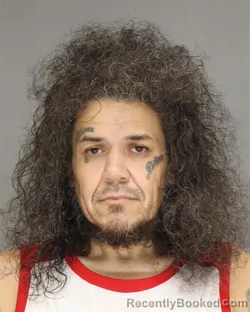 Mugshot of FRANK DAVID-NOYES JORDAN booked in Brown County, Wisconsin on July 11, 2026