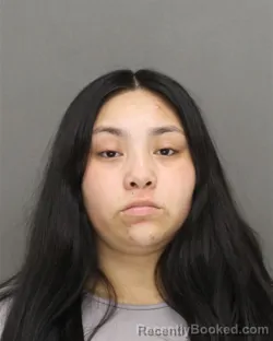 Mugshot of GIMENA NMI LOPEZ-FORTUNO booked in Brown County, Wisconsin on July 13, 2026