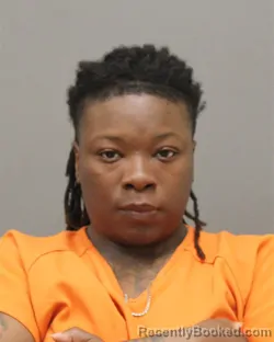 Mugshot of TIANNA TNAE BUSSIE booked in Brown County, Wisconsin on July 13, 2026
