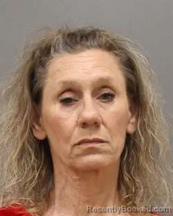 Mugshot of KRISTIN LEA PALUDA booked in Brown County, Wisconsin on July 14, 2026