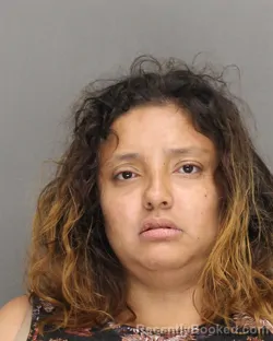 Mugshot of DANIELA NMI ALZATE-OCAMPO booked in Brown County, Wisconsin on July 15, 2026