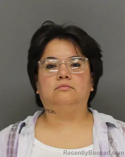 Mugshot of MARIA ELENA TREVINO booked in Brown County, Wisconsin on August 4, 2026