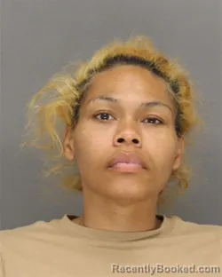Booking photo from Brown County, Wisconsin