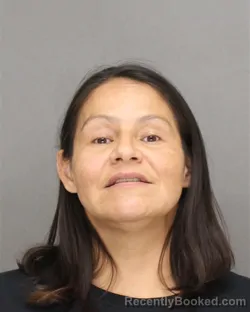 Mugshot of Lisa Ann Waukau booked in Brown County, Wisconsin on August 11, 2026