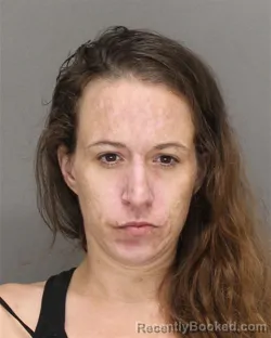 Mugshot of Ashley Rose Degroot booked in Brown County, Wisconsin on August 12, 2026