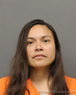 Mugshot of Danielle Jane Julius booked in Brown County, Wisconsin on August 15, 2026