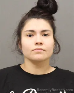 Mugshot of Nancy Nmi Gallegos-Cardenas booked in Brown County, Wisconsin on August 20, 2026