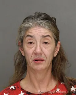 Mugshot of Amber Lynne Vannes booked in Brown County, Wisconsin on August 22, 2026
