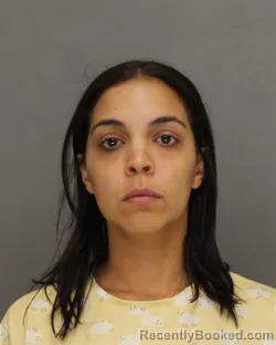Mugshot of Krystal Marie Pagan-Rodriguez booked in Brown County, Wisconsin on August 23, 2026