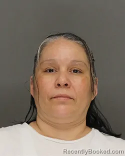 Mugshot of Pebbles Lee Sanapaw booked in Brown County, Wisconsin on August 24, 2026
