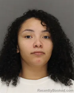 Mugshot of Shaylea Diana Lynn Hernandez booked in Brown County, Wisconsin on August 25, 2026
