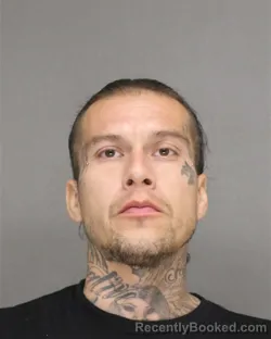 Mugshot of Styles Gerard Sechrist booked in Brown County, Wisconsin on August 25, 2026