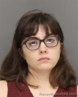 Mugshot of Emily Rose Seroogy booked in Brown County, Wisconsin on August 26, 2026
